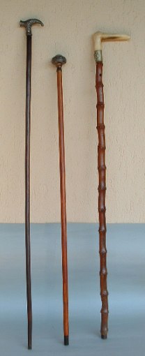 three walking sticks